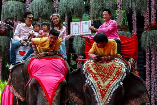 Better than roses: Chon Buri couples marry on elephants