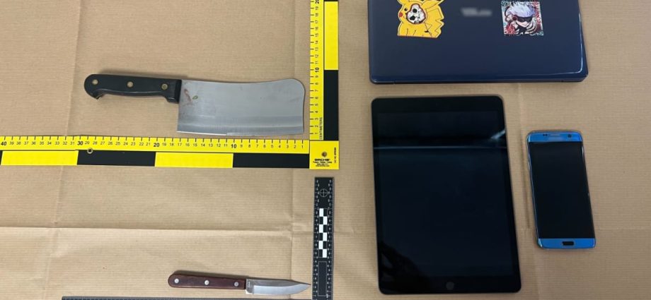 Chopper-wielding man charged over attacks in Commonwealth that injured 7, remanded for medical examination