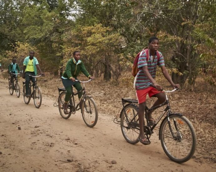 Commentary: Are carbon credits a growing âlemonâ problem?