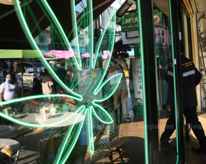 Government delays approval of cannabis ban legislation