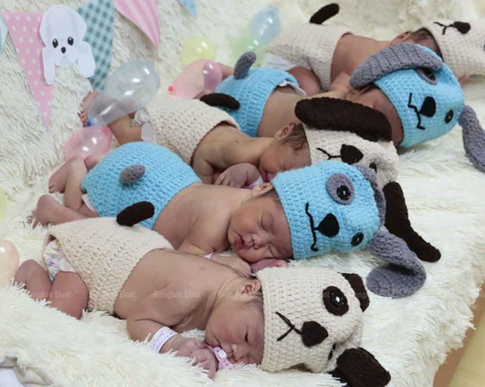 Govt to push artificial insemination to boost birth rate