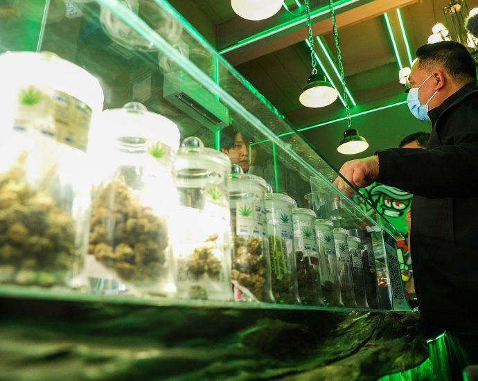 Health ministry proposing ban on recreational cannabis use