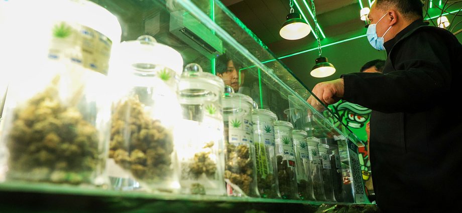 Health ministry proposing ban on recreational cannabis use