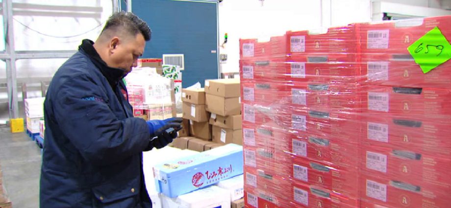 How one cold chain facility is dealing with a jump in fruit and fish imports ahead of Chinese New Year