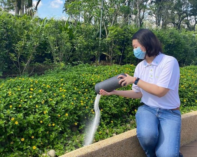 Increasing demand for scattering of ashes in garden at Choa Chu Kang Cemetery