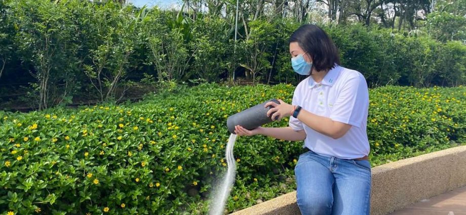 Increasing demand for scattering of ashes in garden at Choa Chu Kang Cemetery