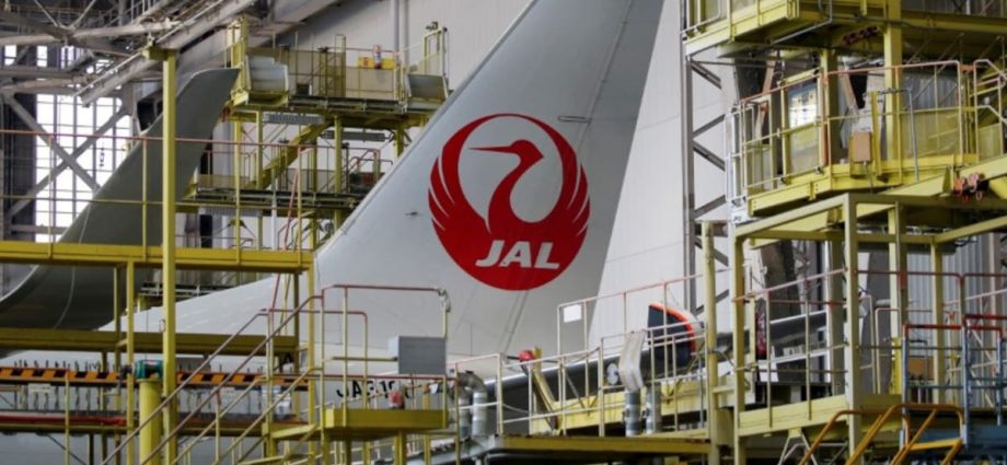 Japan Airlines admits subsidiaries cheated on driving tests