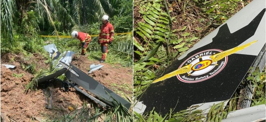 Light aircraft crashes near town in Malaysia's Selangor; search operation ongoing