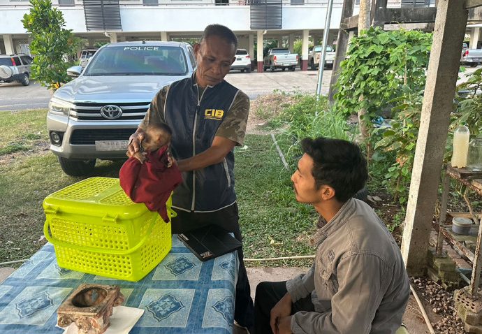 Macaque seized from online wildlife seller