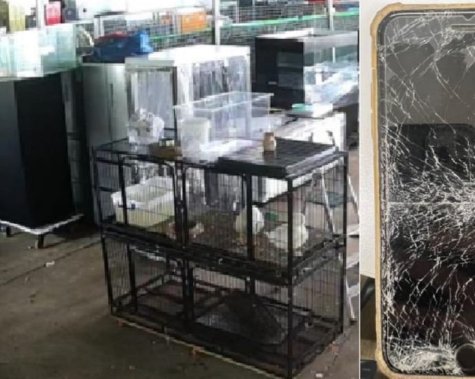 Man kept record 69 wild animals illegally in fish farm leased from NParks, gets jail