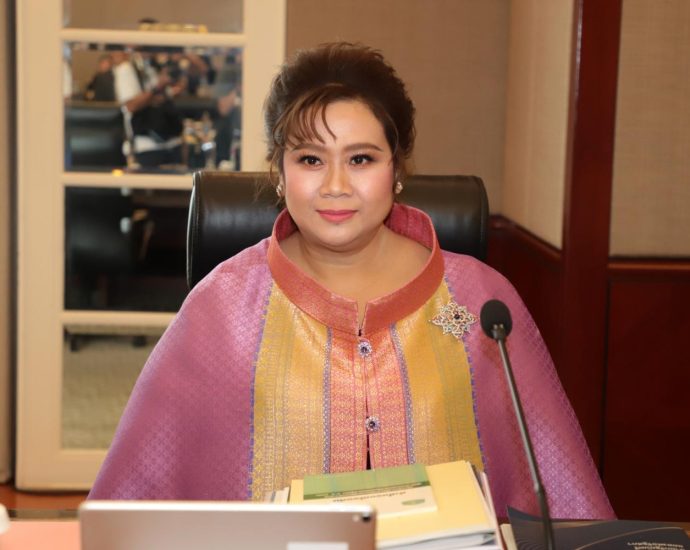 Ministry outlines EV roadmap