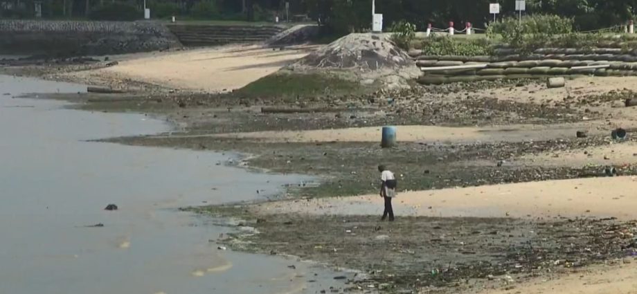 Pasir Ris beach recreational centres take extra precautions over higher bacteria levels in seawater