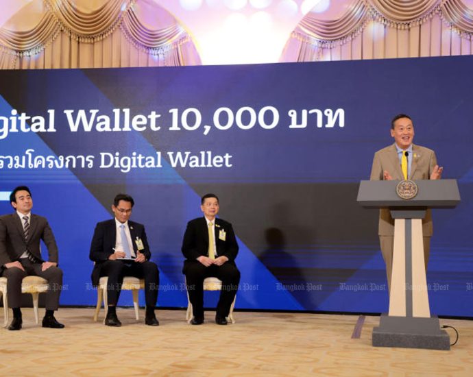 Second committee to vet digital wallet