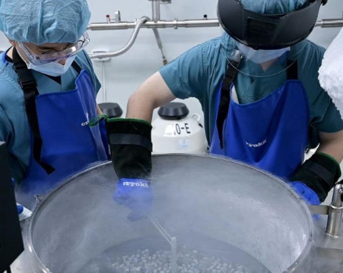 Seoul hopes egg freezing can help South Korea’s baby crisis, experts disagree