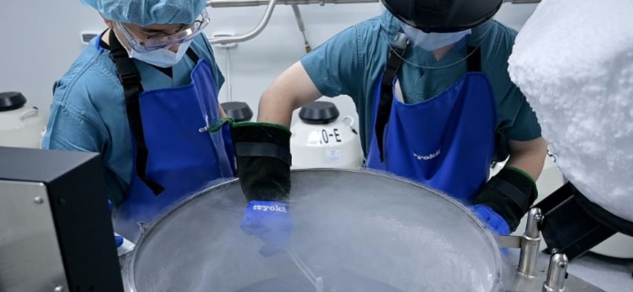 Seoul hopes egg freezing can help South Korea’s baby crisis, experts disagree