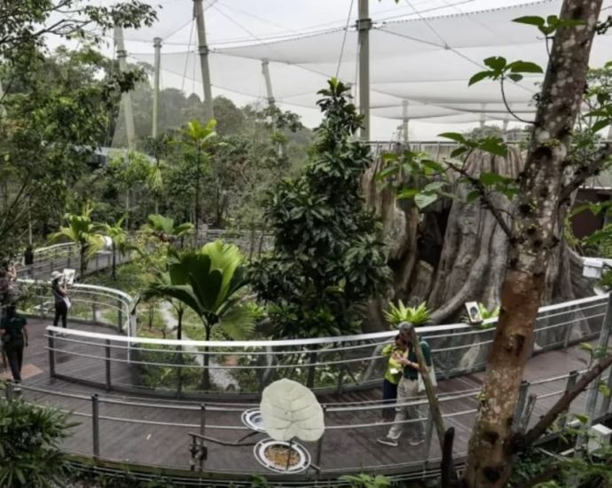 Singapore visitor arrivals up 115% to 13.6 million in 2023