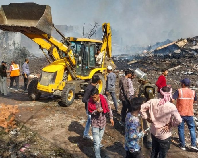 Ten killed in India fireworks factory fire: Police