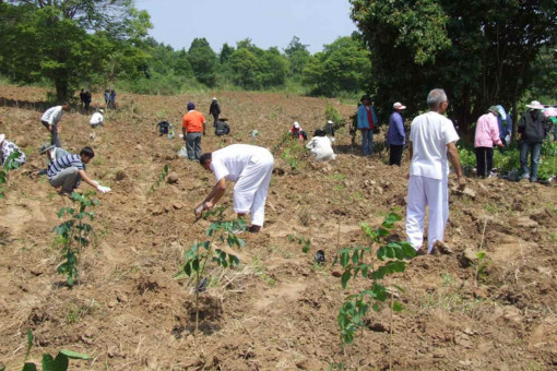 Water expert champions forest plantation idea