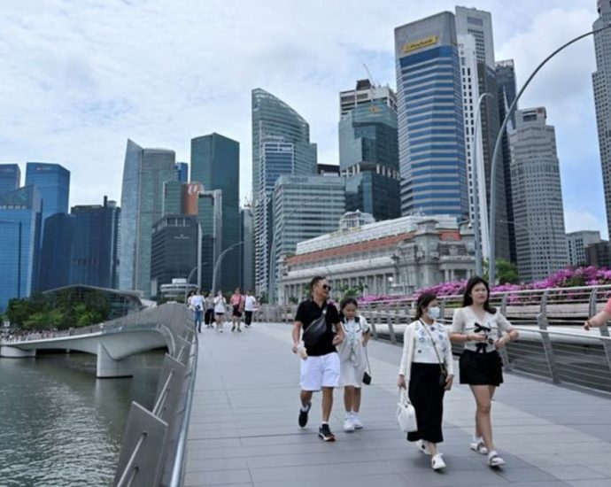 What are the government fees wrongly charged with GST and whoâs affected?