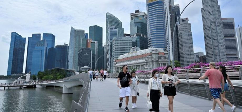 What are the government fees wrongly charged with GST and whoâs affected?
