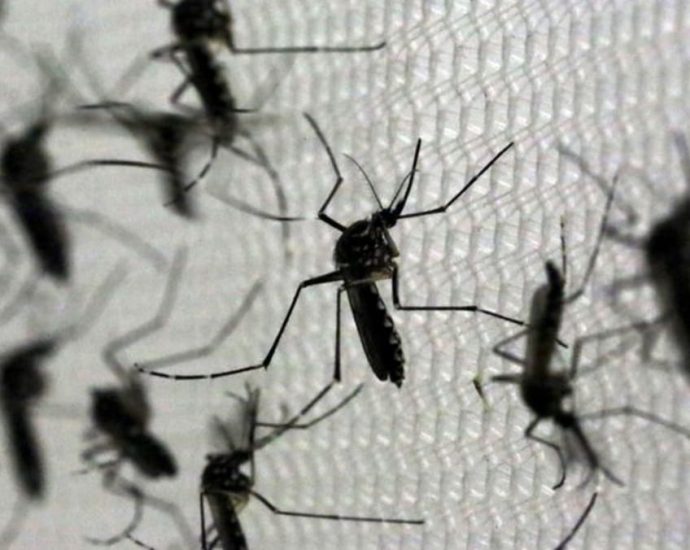 What is Zika and what are the health risks?
