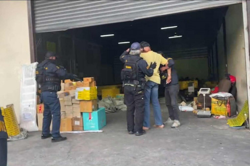Man, 66, arrested with 31,800 bullets for sale