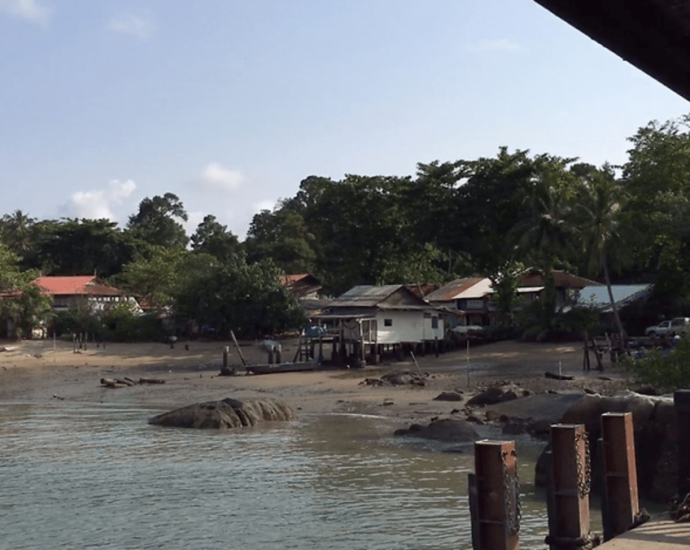 Pulau Ubin resident charged with failing to take dog to vet, asks judge to understand village life