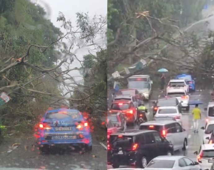 Section of Nicoll Highway closed after tree falls across three lanes