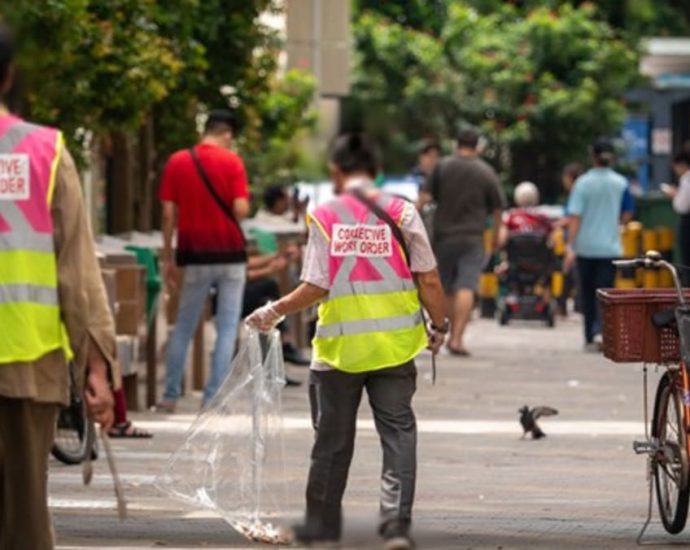 Singapore may publicise images of litterbugs to catch offenders