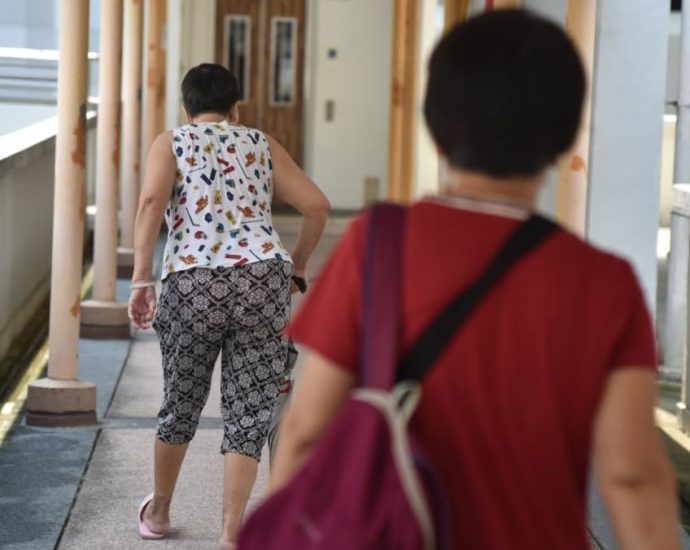 Singapore to build new hospital in Tengah, expand home care initiatives to meet ageing population needs
