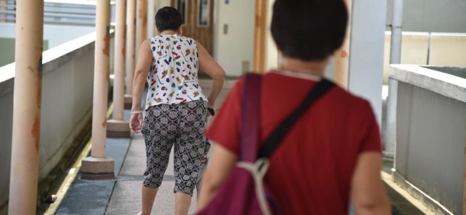 Singapore to build new hospital in Tengah, expand home care initiatives to meet ageing population needs