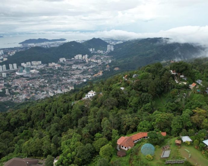 Singaporean man found dead days after car plunges into Penang ravine