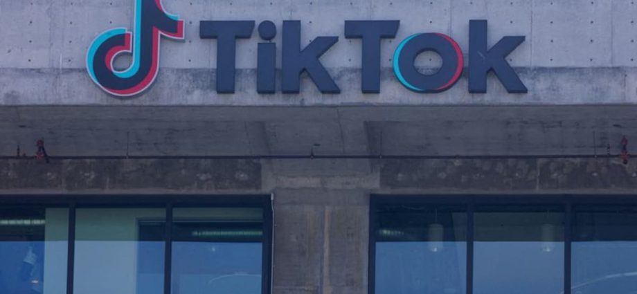 US House passes Bill to force ByteDance to sell TikTok or face ban