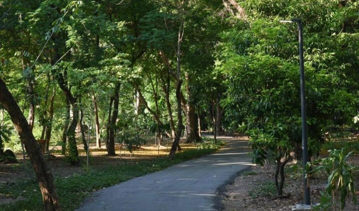 BMA to turn 86-rai plot into wetland park