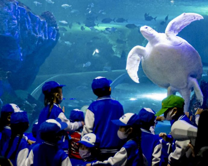 Chiang Mai Zoo"s aquarium reopens after B29m boost