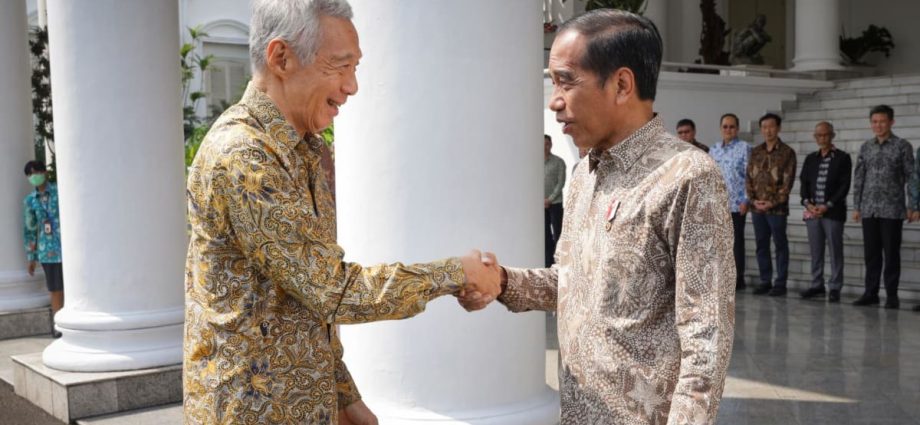 Green economy, new capital Nusantara among areas discussed with Indonesia, says PM Lee after leaders' retreat