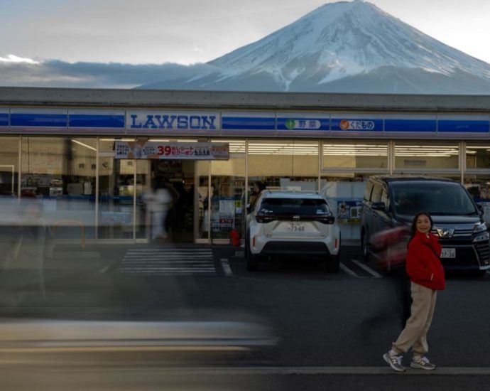 Japan town to put up 2.5m barrier to block view of Mount Fuji
