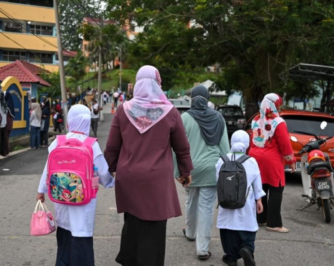 Malaysian Chinese Association’s deputy president says vernacular schools not polarising the country