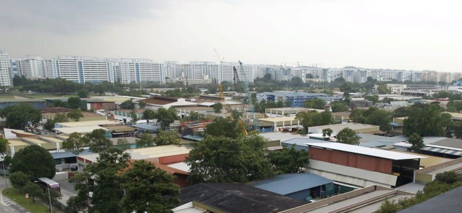 New registry for Singapore businesses to track and report carbon emissions launched