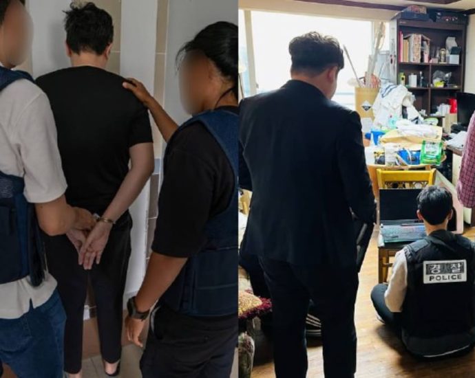 Police in Singapore, Hong Kong and South Korea arrest 272 suspects in joint operation targeting child porn