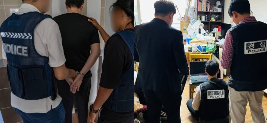 Police in Singapore, Hong Kong and South Korea arrest 272 suspects in joint operation targeting child porn