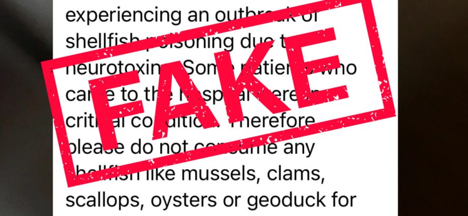 Rumours on WhatsApp about shellfish poisoning outbreak in Bedok untrue: SFA, MOH