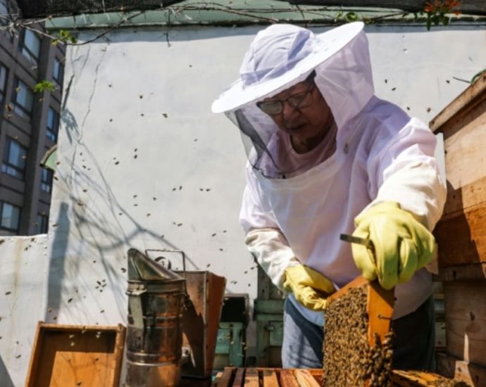 Sweet lessons: Taiwan urban beekeeping gets positive buzz