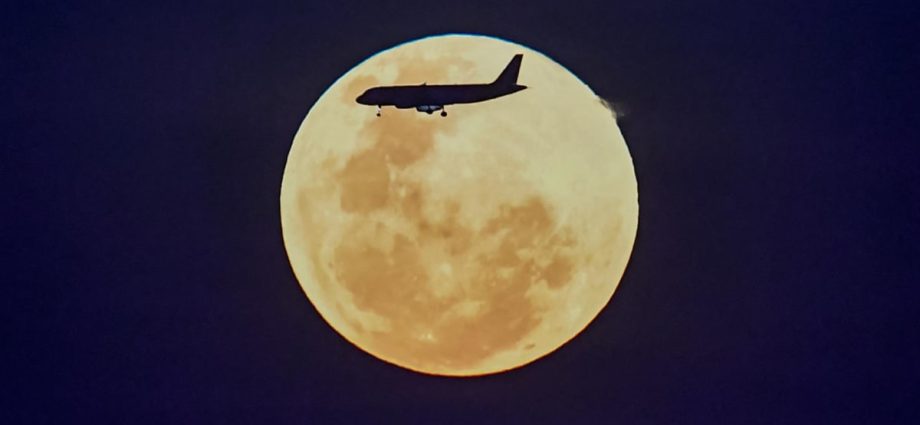 Worm, Strawberry, Flower: The many names of full moons seen across the world