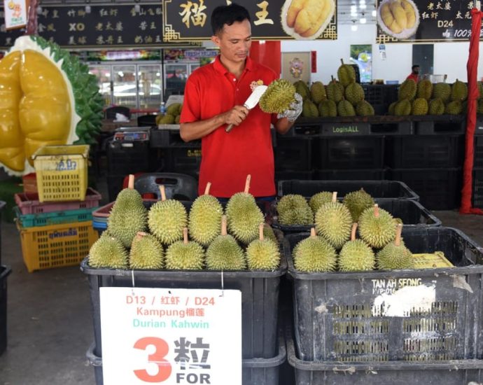 Amid uncertain weather, Malaysian durian exporters fear quality of upcoming harvest may impact sales to China