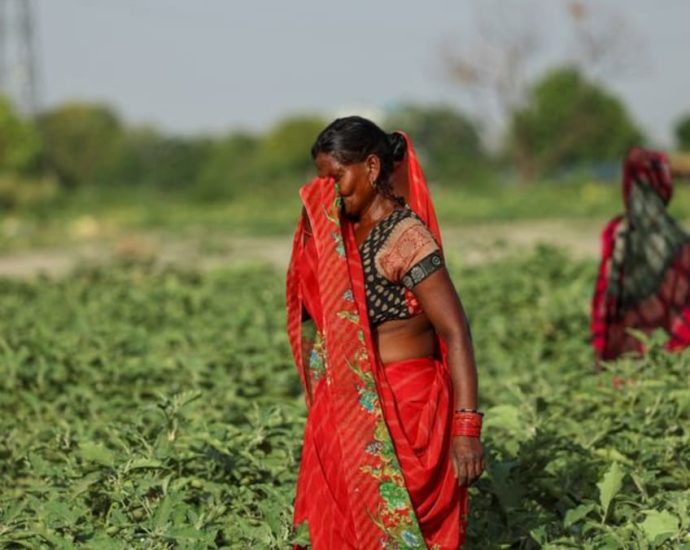 At least 24 dead in eastern India as temperatures soar