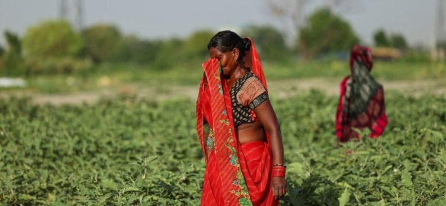 At least 24 dead in eastern India as temperatures soar