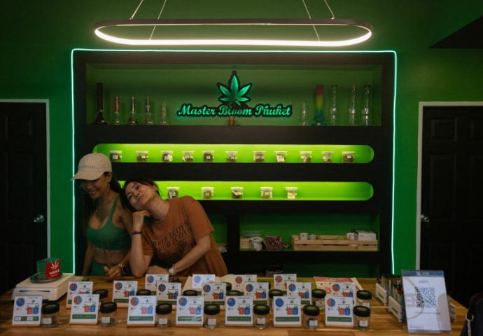 Cannabis supporters plan legal challenge of policy u-turn