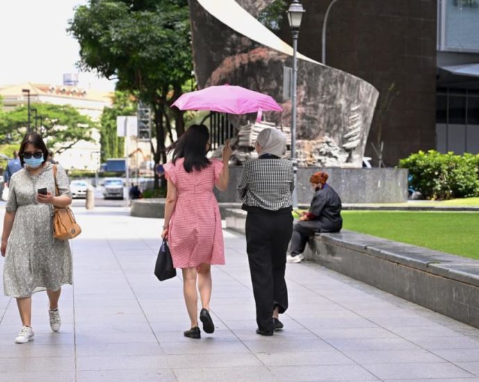Flexi-work guidelines not enough to return to the labour force, caregivers say