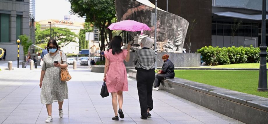 Flexi-work guidelines not enough to return to the labour force, caregivers say